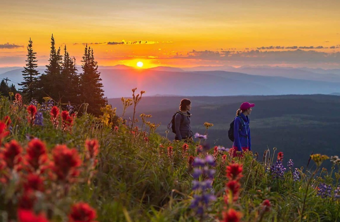 hero-2-summer-sm-compressed